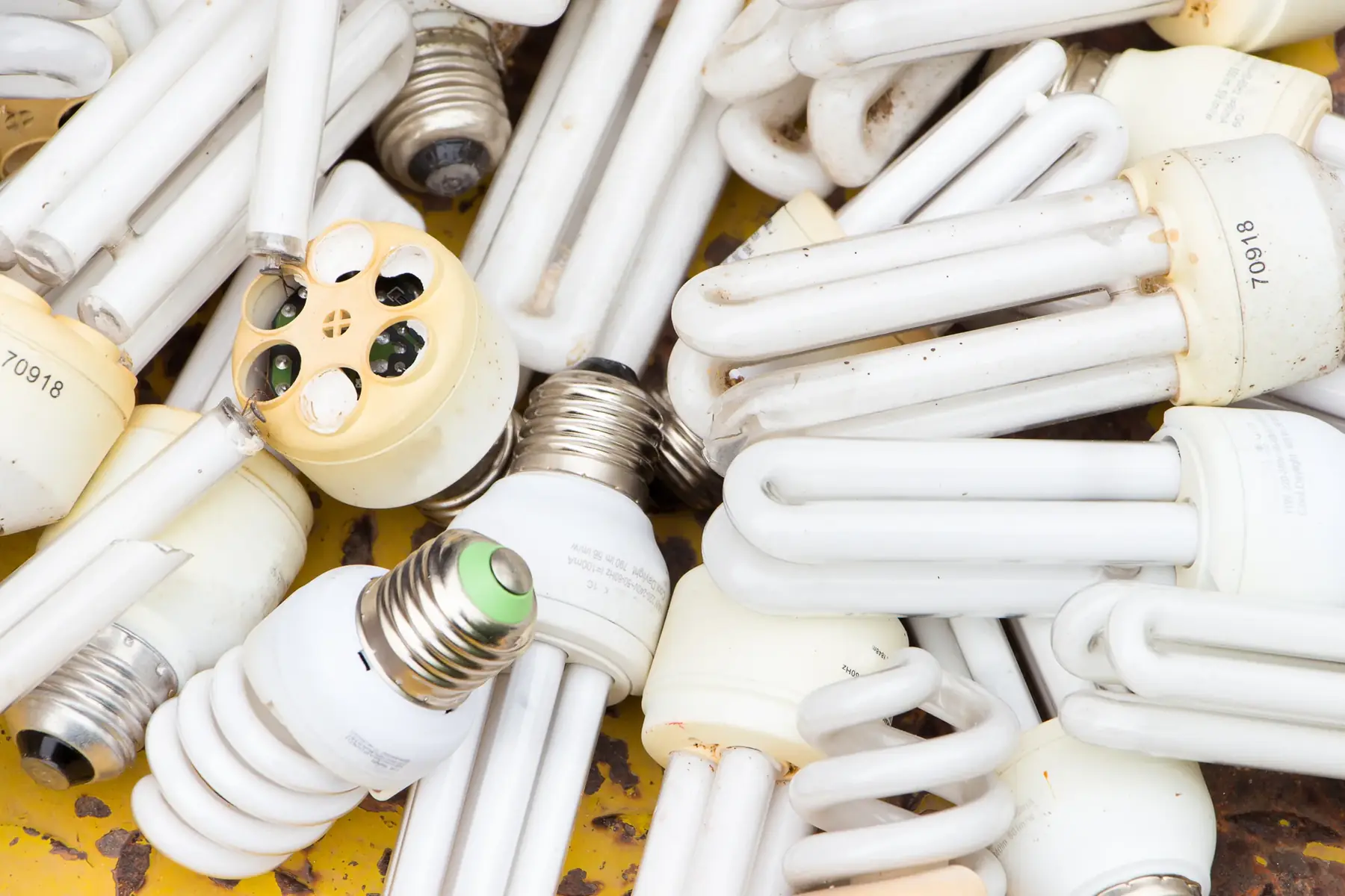 Discarded fluorescent lamps and light bulbs.